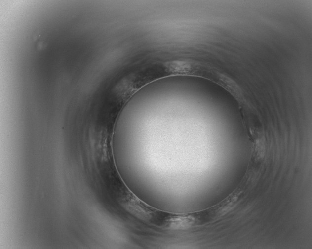 X0000064050525200602031626