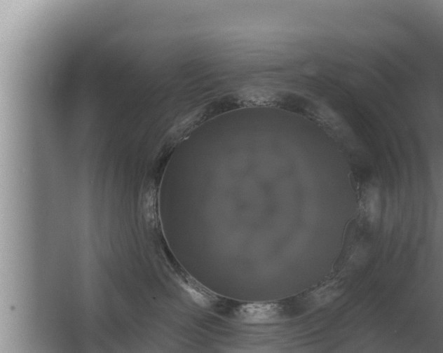 X0000064050526200602031626