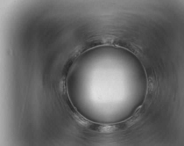 X0000064050527200602031626