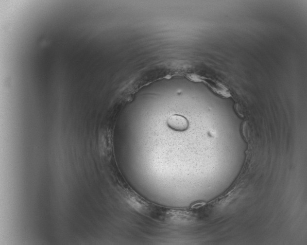 X0000064050528200602031626