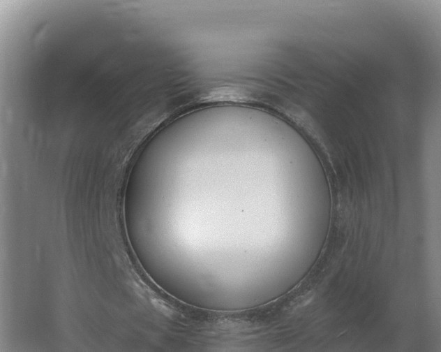 X0000064050529200602031626