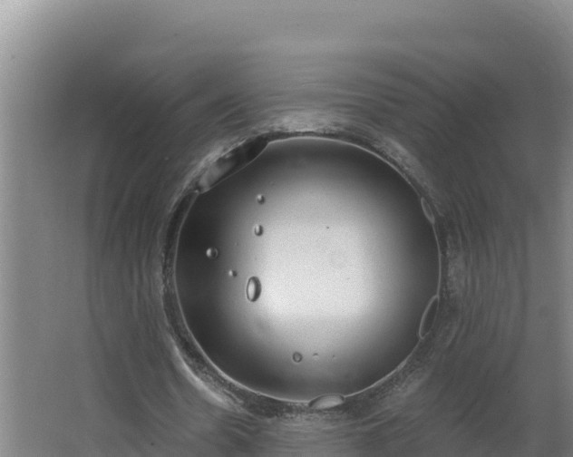 X0000064050530200602031626