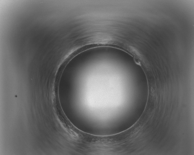 X0000064050532200602031626