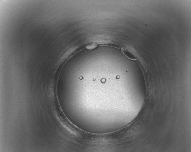 X0000064050533200602031626