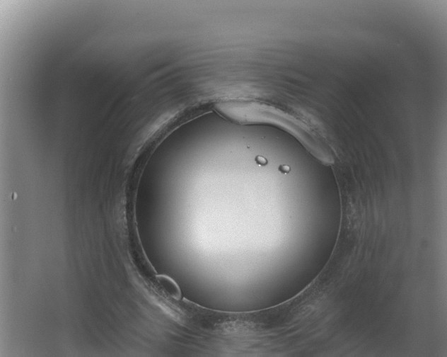 X0000064050535200602031626