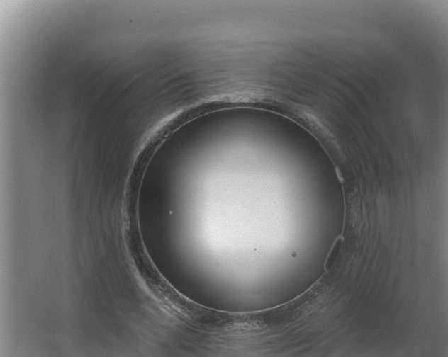 X0000064050536200602031626