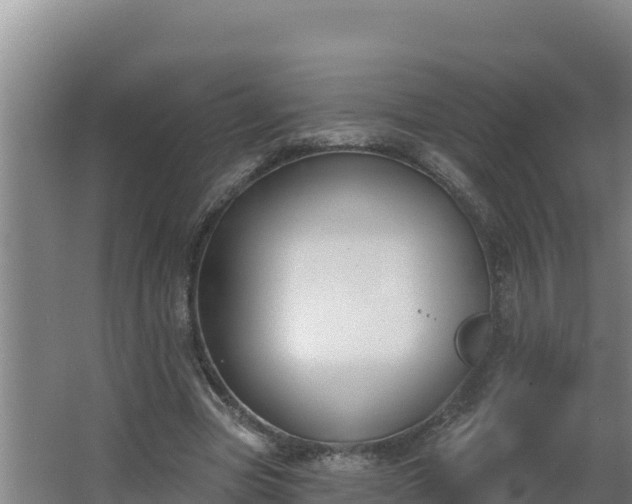 X0000064050537200602031626