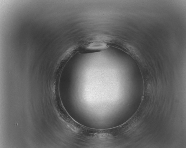 X0000064050539200602031626