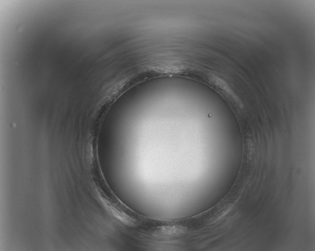 X0000064050541200602031626