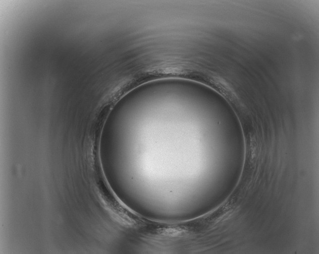 X0000064050542200602031626