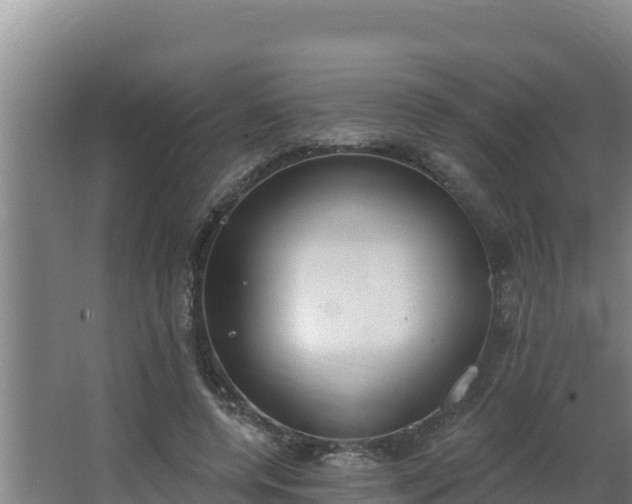 X0000064050544200602031626