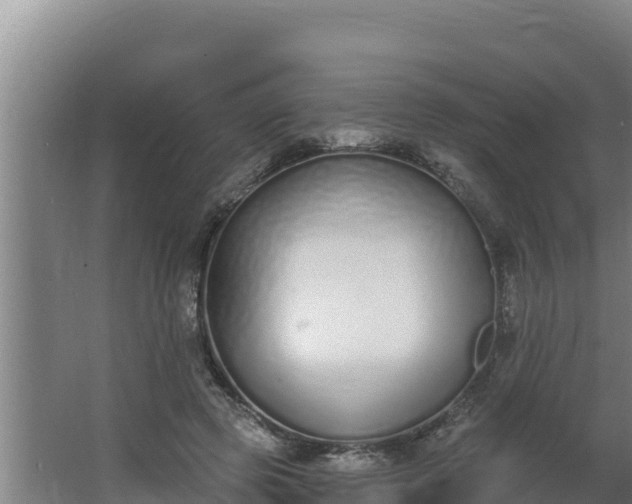 X0000064050545200602031626