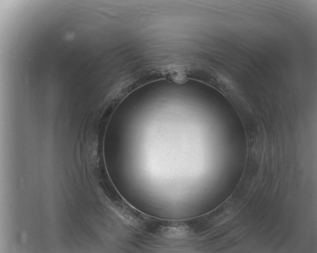 X0000064050548200602031626