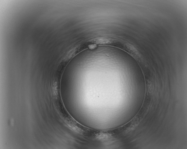 X0000064050549200602031626