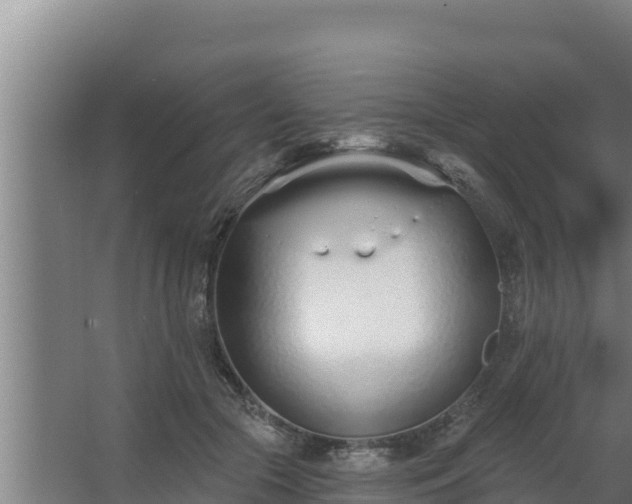 X0000064050553200602031626