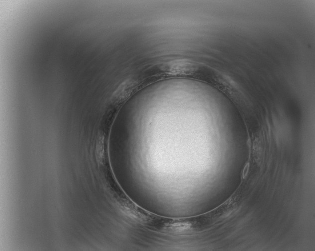 X0000064050554200602031626