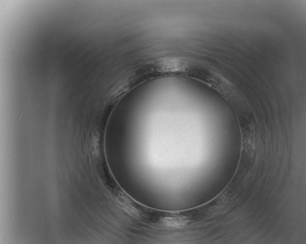 X0000064050556200602031626