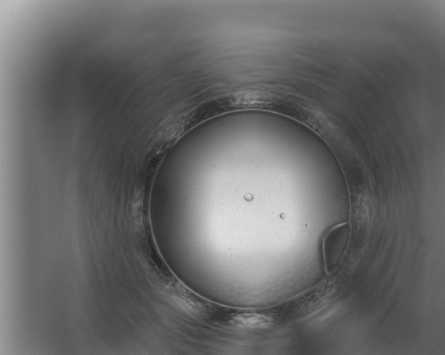 X0000064050557200602031626