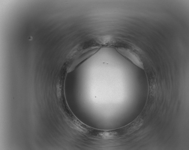 X0000064050558200602031626