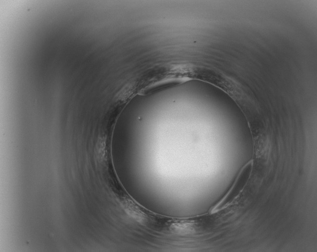 X0000064050560200602031626