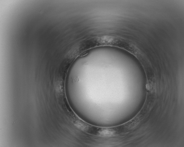 X0000064050561200602031626