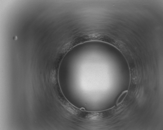 X0000064050563200602031626