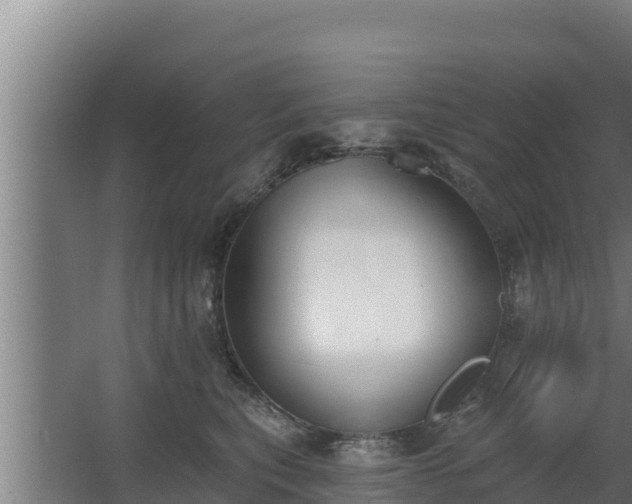 X0000064050567200602031626