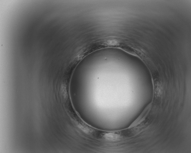 X0000064050568200602031626