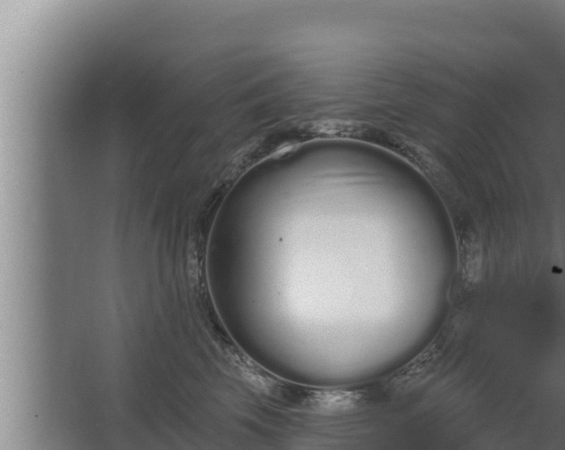 X0000064050569200602031626