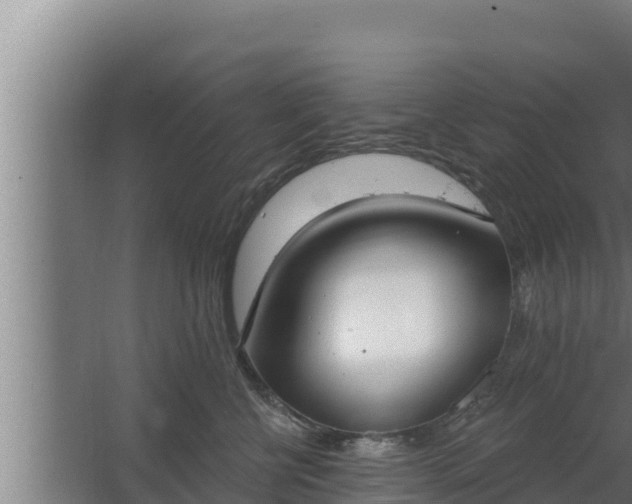 X0000064050570200602031626