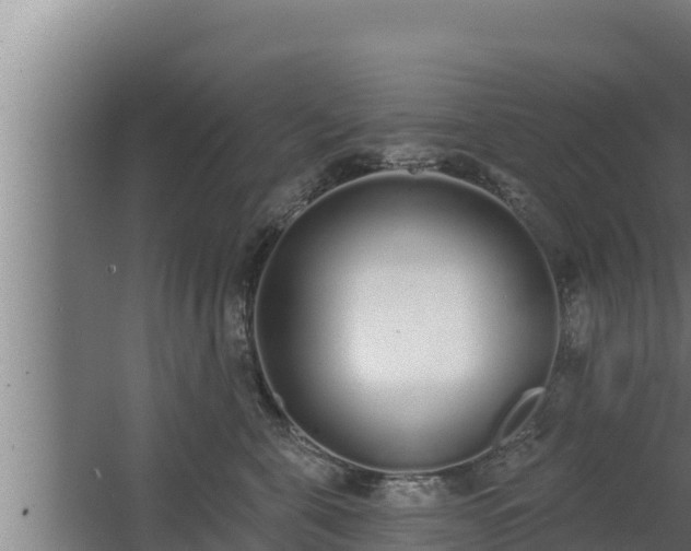 X0000064050571200602031626