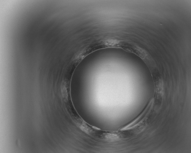 X0000064050572200602031626