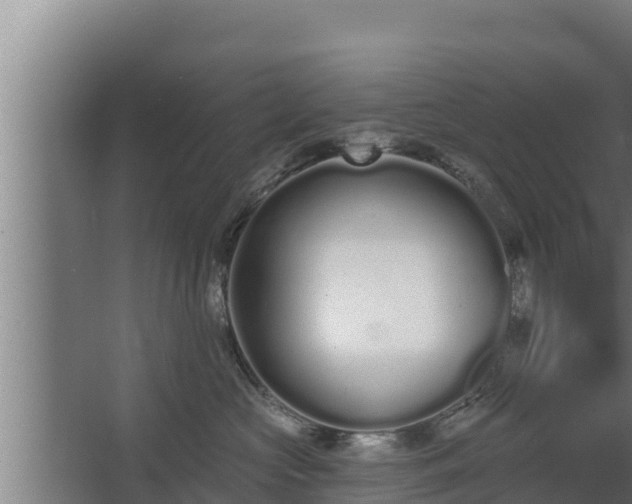 X0000064050573200602031626