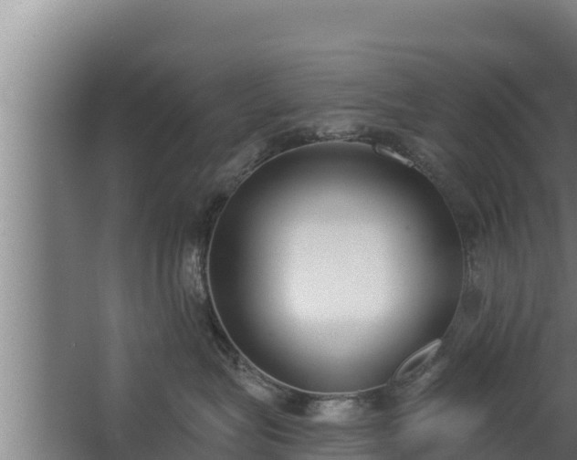 X0000064050575200602031626