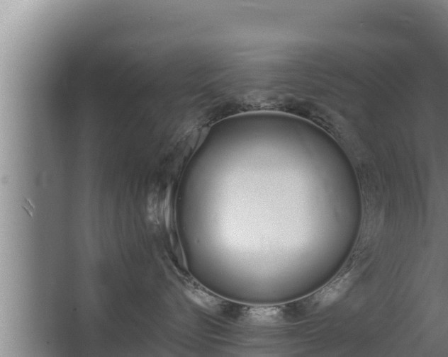 X0000064050576200602031626