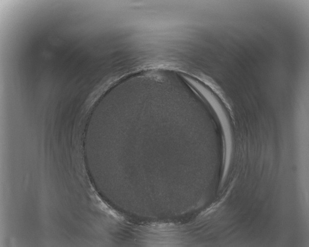 X0000064050577200602031626