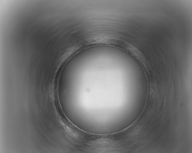 X0000064050578200602031626