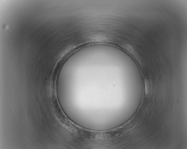 X0000064050579200602031626