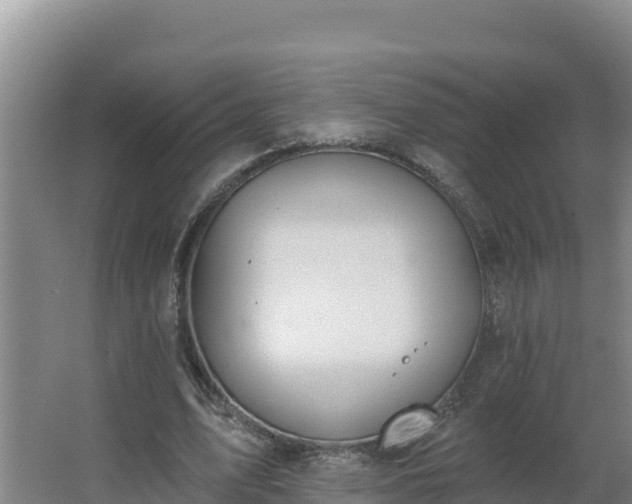 X0000064050583200602031625