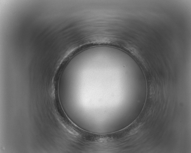 X0000064050584200602031625