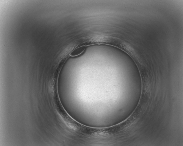 X0000064050586200602031625