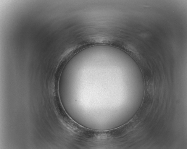 X0000064050587200602031625