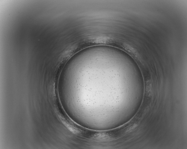 X0000064050589200602031625