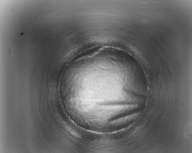 X0000064050590200602031625