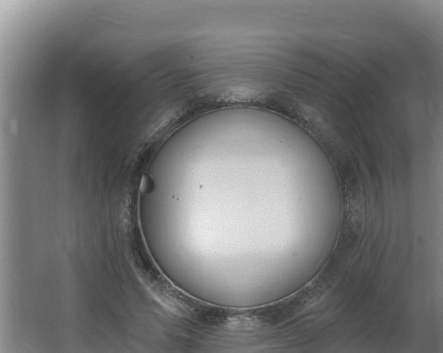 X0000064050591200602031625