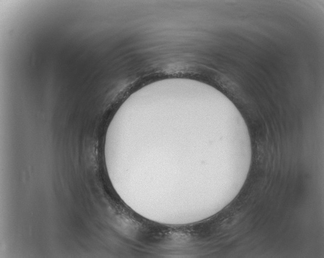 X0000064050592200602031625