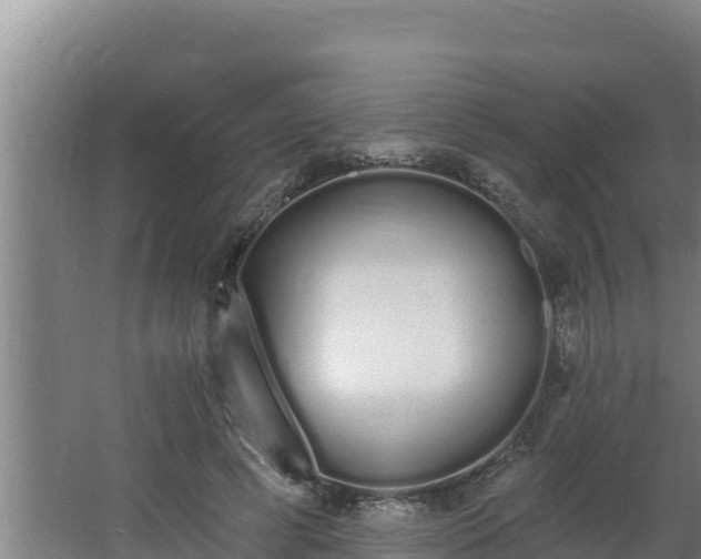 X0000064050593200602031625