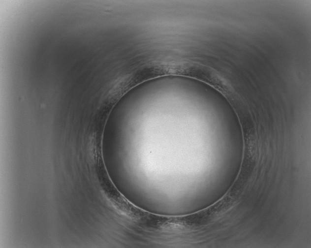 X0000064050594200602031625