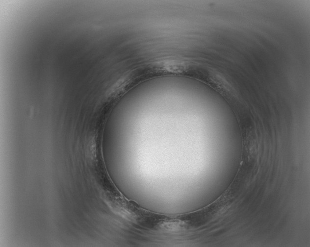 X0000064050595200602031625