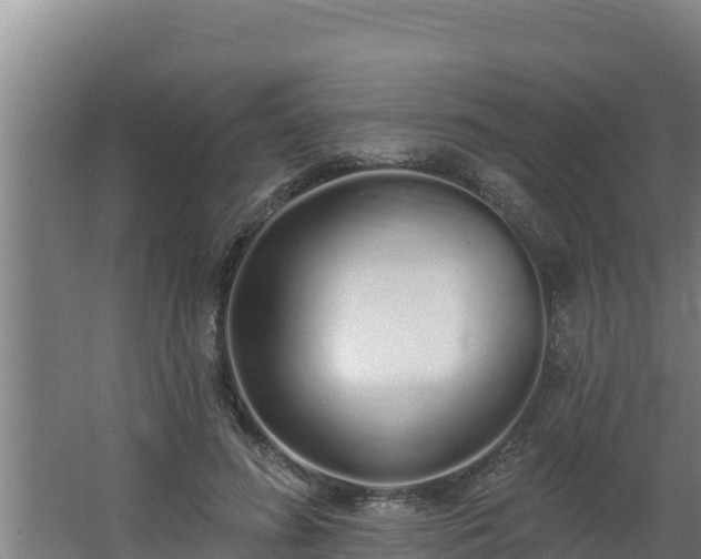 X0000064050596200602031625